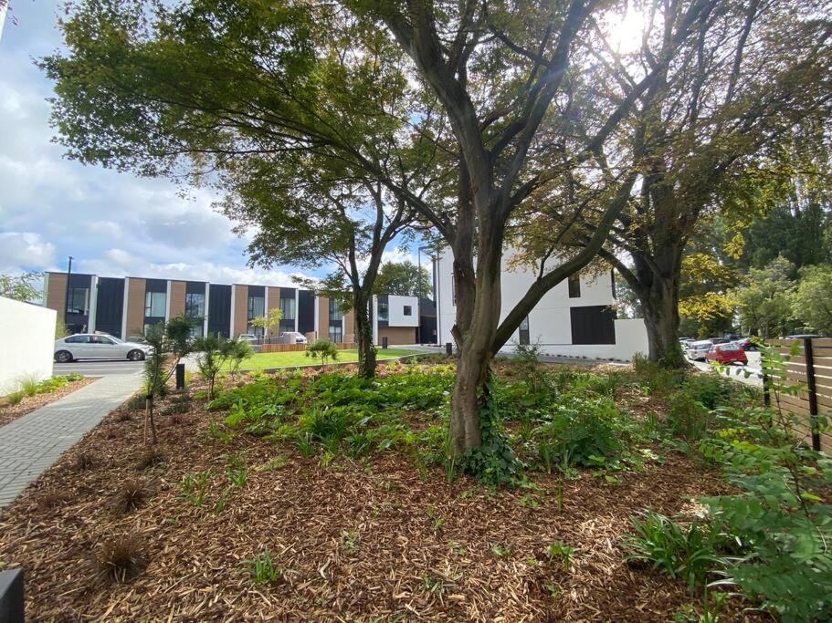 Modern Central Living Christchurch Buitenkant foto